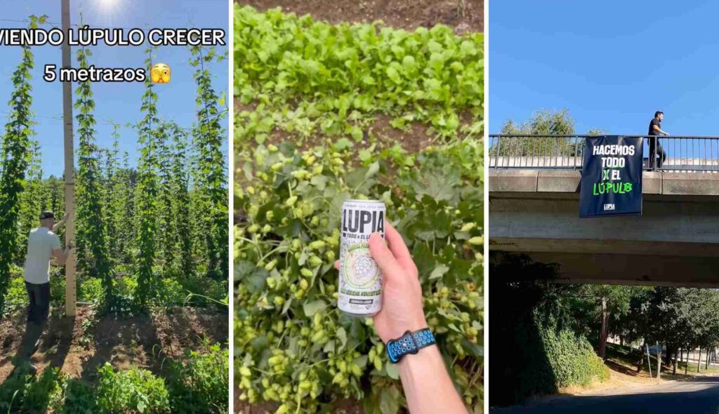 This is how the communication strategy of Lupia, the new beer from Hijos de Rivera, is being executed