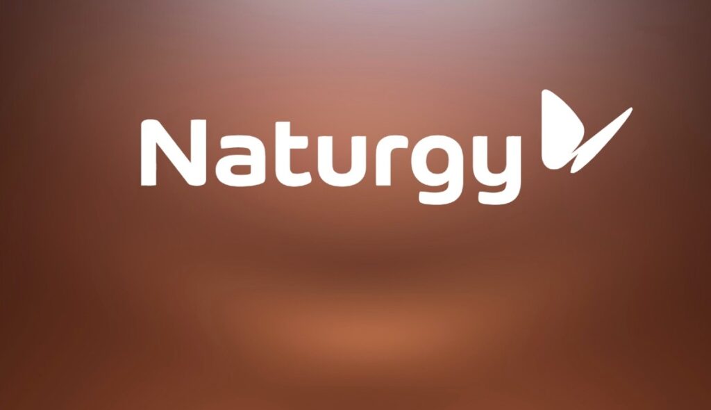 Naturgy will allow affected households, SMEs and self-employed workers to postpone electricity, gas and service bills