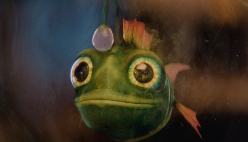 The Roque fish and the magic of nature star in Iberdrola's Christmas advertisement