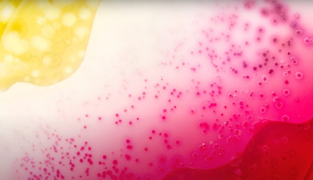 Intestinal bacteria become small works of art to promote functional drinks