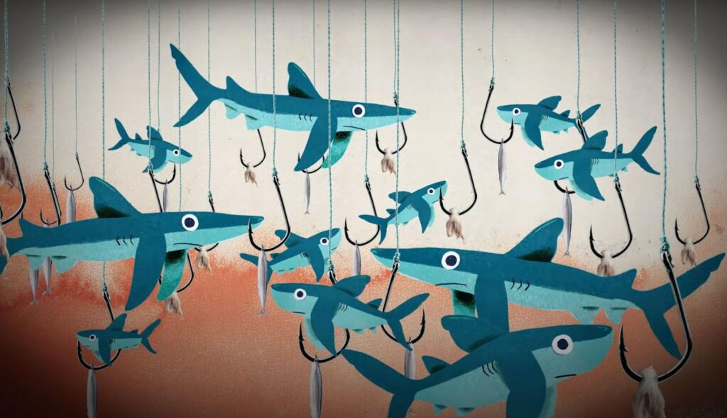 Ilustraciones de pesca de tiburones