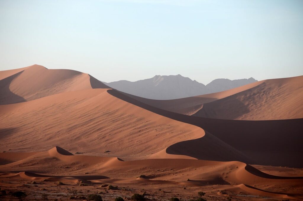 What are called “dust of the Sahara”?