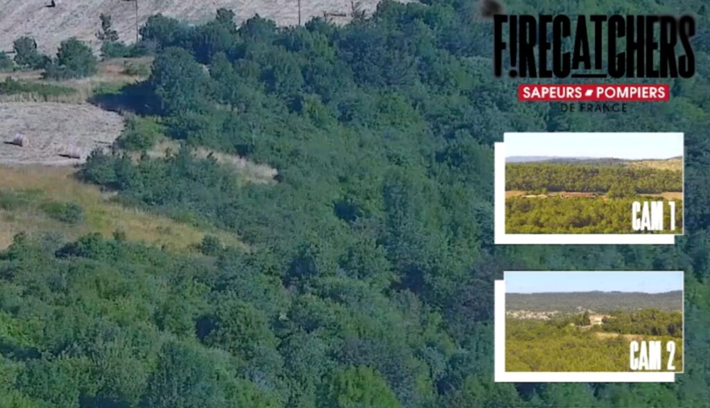 una vista de las camaras forestales en la pantalla de twitch