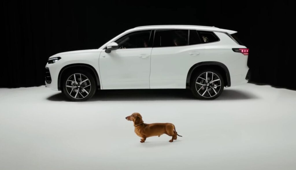 una imagen de perfil con el coche de volkswagen y al lado el perro salchicha