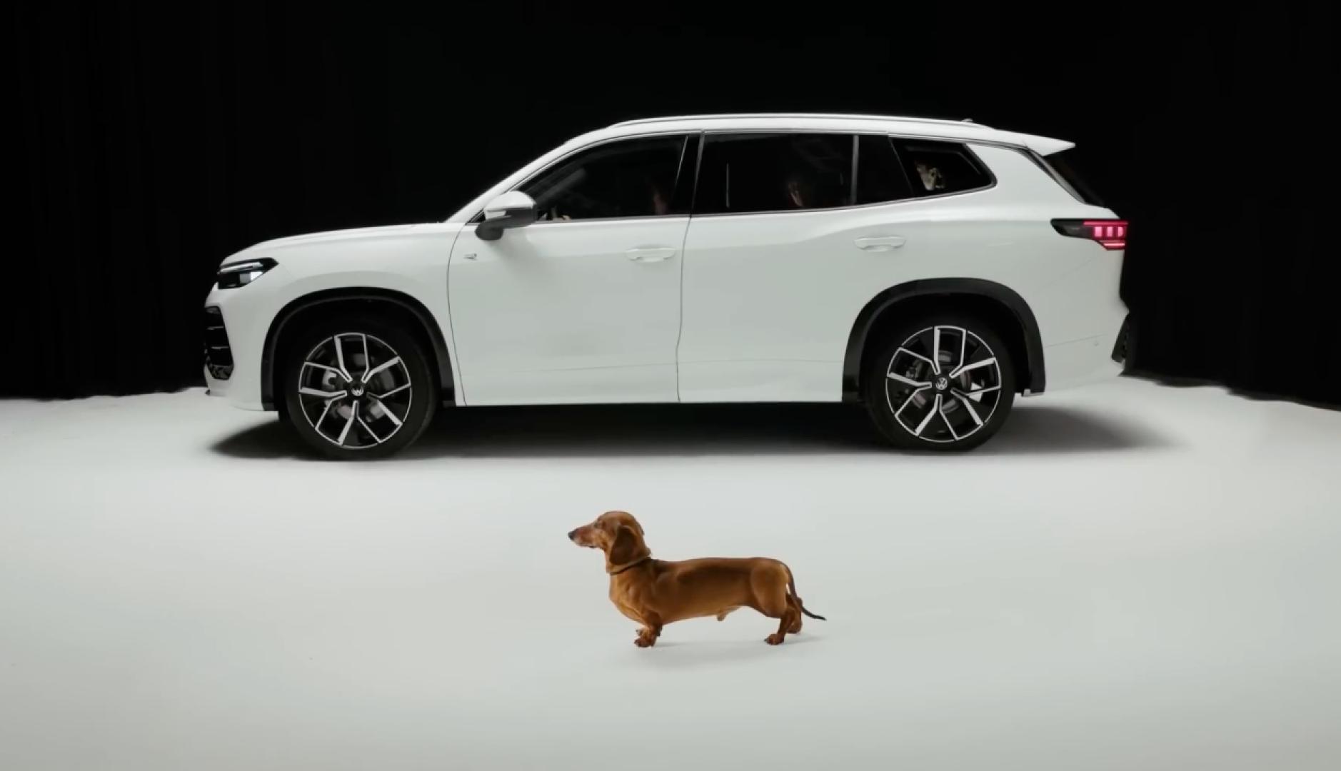 una imagen de perfil con el coche de volkswagen y al lado el perro salchicha