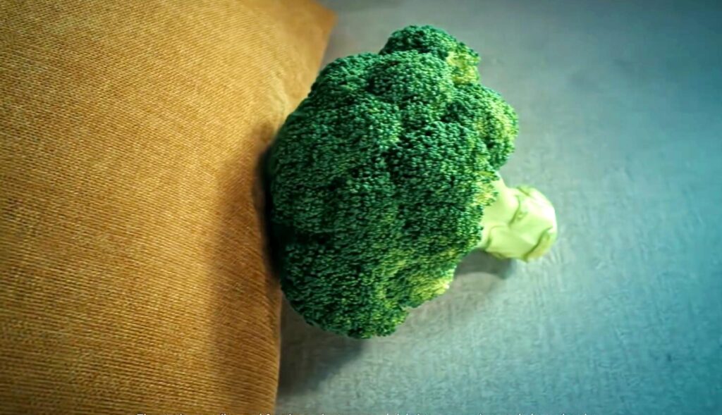 Un brócoli en un sofá como si estuviera en la consulta del psicólogo