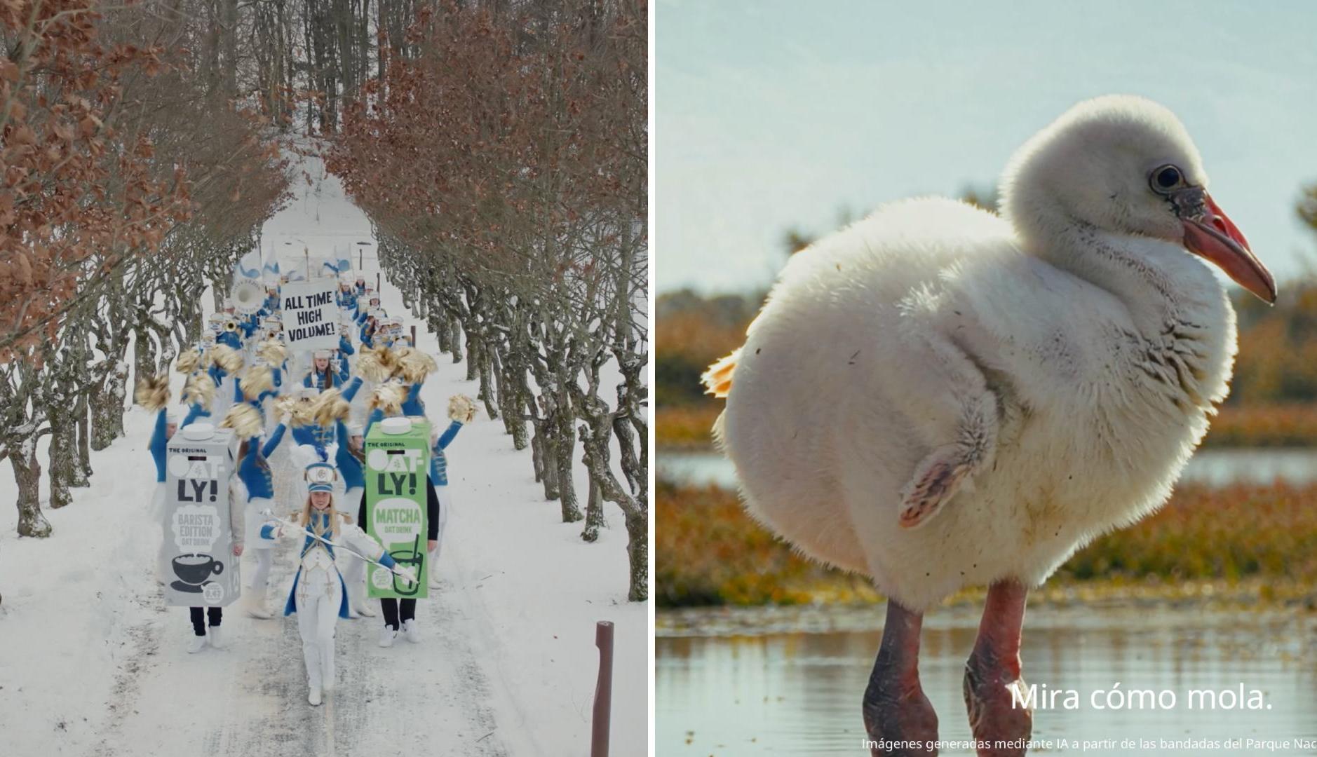 A music band and a flamenco from Doñana: this is how Oatly and Ikea communicate their financial results