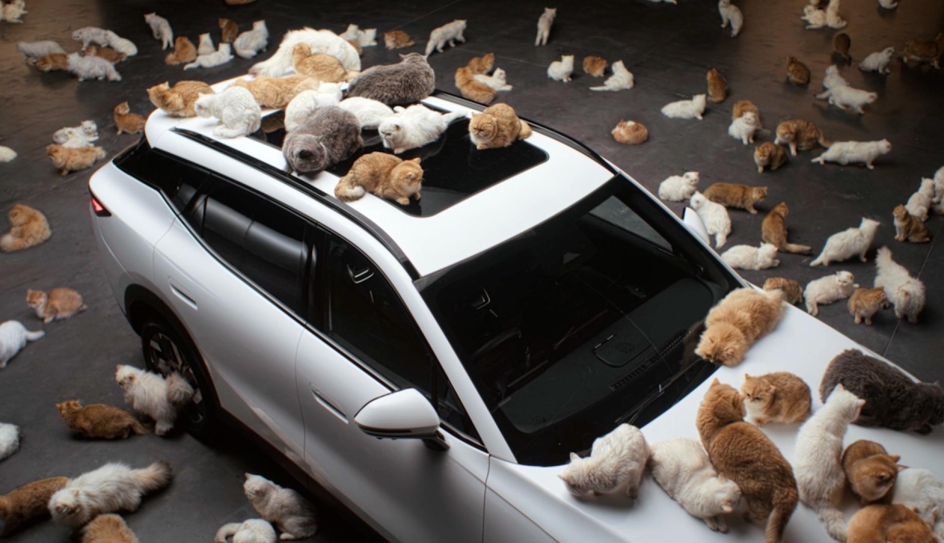 Three tons of water, many cats and many flowers to challenge the codes of motor advertising