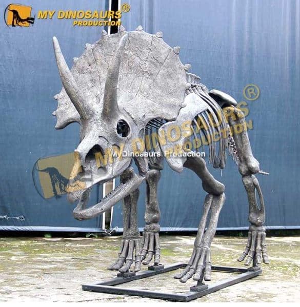 Understanding the preparation of dinosaur skeletons for research and display