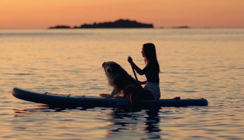 Una chica y su perro en la tabla de paddle surf al atardecer en el mar