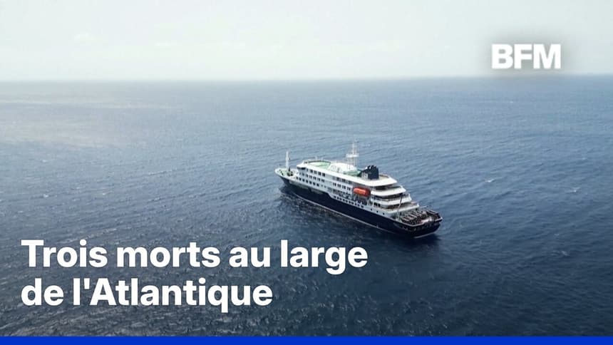 What is Hantavirus, this virus that triggered an alert at sea?