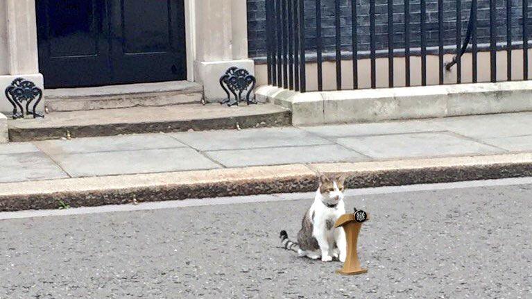 Who is Larry, Downing Street's house cat?