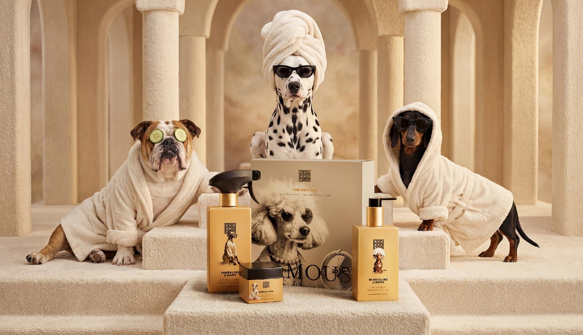 Tres perros con albornoz como si estuvieran en un spa junto a un bodegón de productos de Rituals