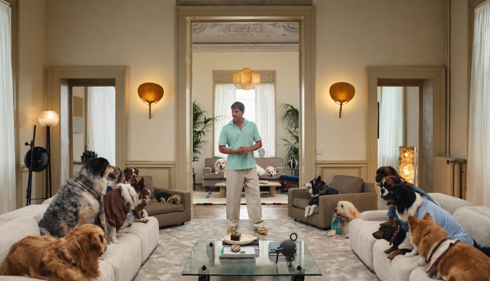 Brad Pitt en un salón rodeado por todos los perros de diferentes razas