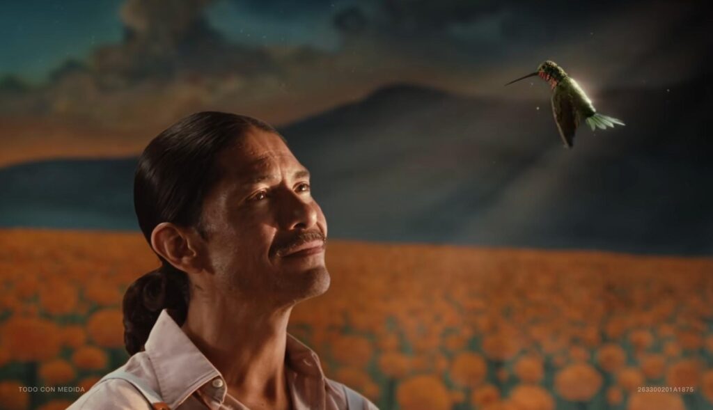 Hombre mirando sonriente a un colibrí